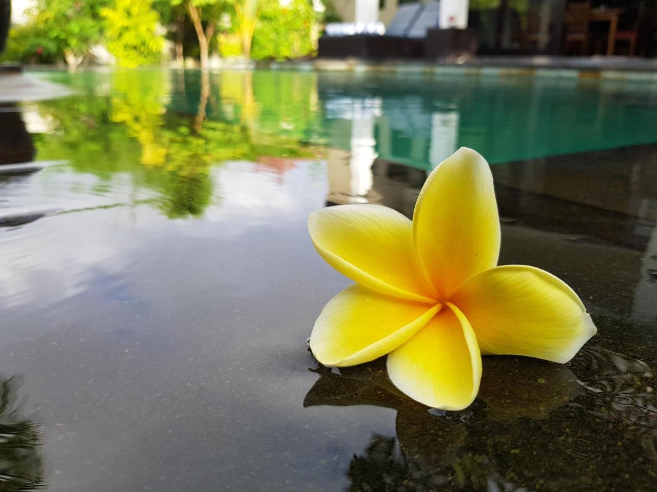 Villa Horizon Nusa Dua Nusa Dua  Esterno foto